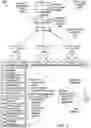Fig. 03 - Detecting inappropriate activity in the presence of unauthenticated API requests using artificial intelligence