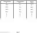 Fig. 08 - ANTI-REPLAY SYSTEMS AND METHODS