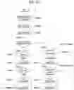 Fig. 59 - Device for transmitting broadcast signal, device for receiving broadcast signal, method for transmitting broadcast signal, and method for receiving broadcast signal