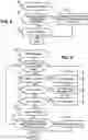 Fig. 04 - Streaming application environment with remote device input synchronization