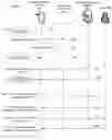 Fig. 10 - Pre-processing for communication services