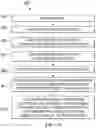 Fig. 09 - Method for improved acquisition of images for photogrammetry