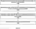 Fig. 10 - Display an image during a communication
