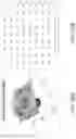 Fig. 19 - Image analysis system and method