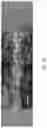 Fig. 25 - Image analysis system and method