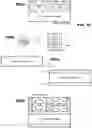 Fig. 09 - Packed image format for multi-directional video