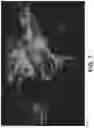 Fig. 08 - Identifying defects in optical detector systems based on extent of stray light