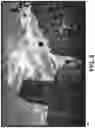 Fig. 09 - Identifying defects in optical detector systems based on extent of stray light