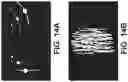 Fig. 15 - Identifying defects in optical detector systems based on extent of stray light