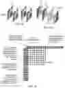 Fig. 13 - Intra prediction mode derivation for chrominance values