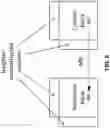 Fig. 07 - Pruning for illumination compensation mode