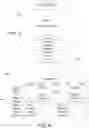 Fig. 06 - Media content redirection