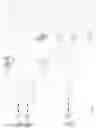 Fig. 02 - METHOD AND SYSTEM FOR PROVIDING AN ELECTRONIC VIDEO CAMERA GENERATED LIVE VIEW OR VIEWS TO A USER'S SCREEN