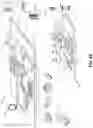 Fig. 08 - Time-synchronized, multizone media streaming