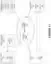 Fig. 12 - CONTENT EXPOSURE ATTRIBUTION BASED ON RENDERINGS OF RELATED CONTENT ACROSS MULTIPLE DEVICES