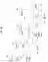 Fig. 33 - Broadcast signal transmitting method, broadcast signal receiving method, broadcast signal transmitting apparatus, and broadcast signal receiving apparatus