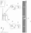 Fig. 02 - System, method, and apparatus for synchronizing sensors for signal detection