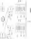 Fig. 10 - System, method, and apparatus for synchronizing sensors for signal detection