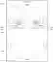 Fig. 01 - TECHNIQUES FOR ROUTING AUDIO CONTENT TO AN ASYMMETRIC SPEAKER LAYOUT WITHIN A VEHICLE