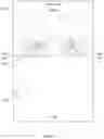 Fig. 03 - TECHNIQUES FOR ROUTING AUDIO CONTENT TO AN ASYMMETRIC SPEAKER LAYOUT WITHIN A VEHICLE