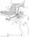 Fig. 09 - Wireless hearing device for tracking activity and emergency events