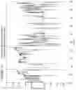 Fig. 14 - Method and system for analysing sound
