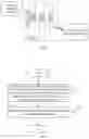 Fig. 02 - Method for reporting blind decoding capability, blind decoding configuration, blind decoding method, terminal and base station