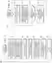 Fig. 06 - Efficient adaptable wireless network system with agile beamforming