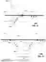 Fig. 09 - Apparatus and methods for transmitting or receiving electromagnetic waves