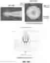 Fig. 26 - Apparatus and methods for transmitting or receiving electromagnetic waves