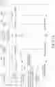 Fig. 26 - Radio link failure processing method and apparatus therefor