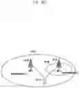 Fig. 20 - Method and apparatus for communication in wireless communication system