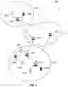 Fig. 02 - Method for the identification of a connected object in a network infrastructure