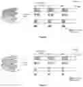 Fig. 06 - Method and apparatus for configuration agnostic radio synchronization