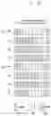 Fig. 21 - Method and apparatus for transmitting group message to user equipment(UE)