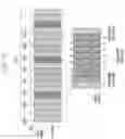 Fig. 33 - Method and apparatus for transmitting group message to user equipment(UE)