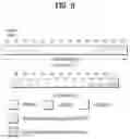 Fig. 07 - METHOD AND DEVICE BY WHICH TERMINAL SELECTS RESOURCE AND TRANSMITS SIGNAL IN WIRELESS COMMUNICATION SYSTEM