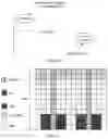 Fig. 03 - Data communication method, terminal device, and network device