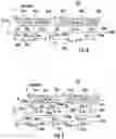 Fig. 06 - Method for initial access using signatures