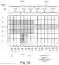 Fig. 17 - Collision handling between STTI and TTI transmissions