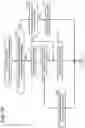 Fig. 11 - Communication device, non-transitory computer-readable recording medium storing computer-readable instructions for communication device, and non-transitory computer-readable recording medium storing computer-readable instructions for first external device