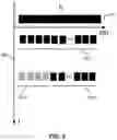 Fig. 03 - ESTABLISHMENT OF A LINK FOR EXCHANGING IP PROTOCOL DATA BETWEEN IMPROVED BASE STATIONS BY DIRECT COMMUNICATION