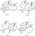 Fig. 06 - Methods and user equipment for recovering from issues of connectivity between a PLMN and a UE