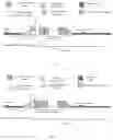 Fig. 06 - Discontinuous reception parameter indication method, relevant device and system