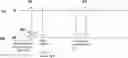 Fig. 01 - Base station and resource allocation method based on semi-persistent scheduling