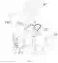 Fig. 07 - Gardening tool, particularly a mower