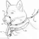 Fig. 01 - Pet leash