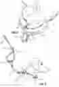 Fig. 03 - Pet leash