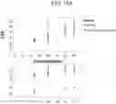 Fig. 10 - Apparatus and method of using a simulated skin substrate for testing insect repellants