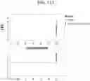 Fig. 16 - Apparatus and method of using a simulated skin substrate for testing insect repellants